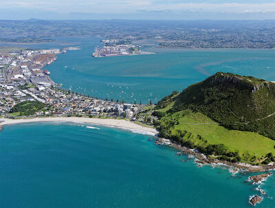 Tauranga - Cleaning Services